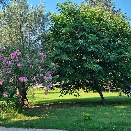 Chambre L'Orchidee Vallon-Pont-dʼArc Eksteriør bilde